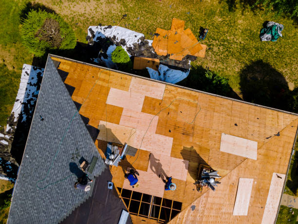 Best Roof Repair Services  in Olivarez, TX