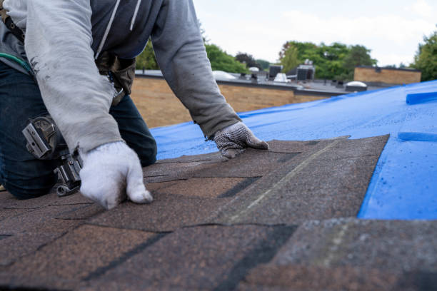 Best Roof Maintenance Services  in Olivarez, TX