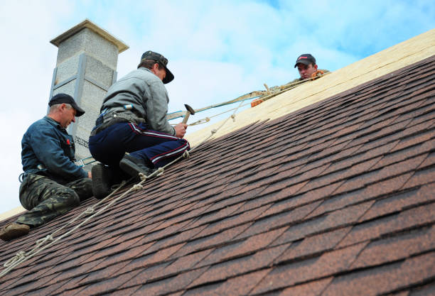 Trusted Olivarez, TX Roofing Contractor Experts