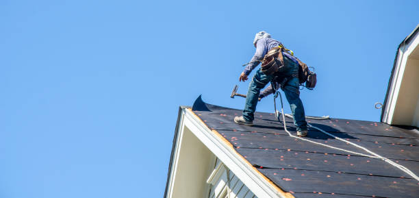 Best Storm Damage Roof Repair  in Olivarez, TX
